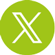 X icon